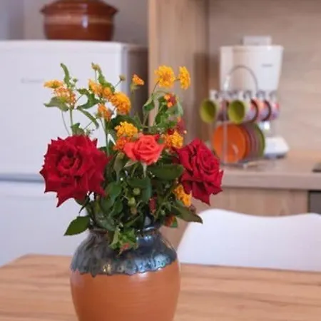 Apartment Kety's House *